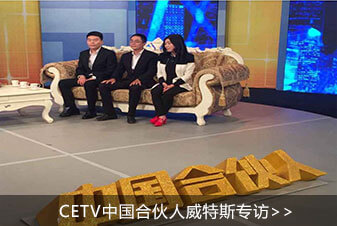 中國(guó)合伙人——威特斯洗衣