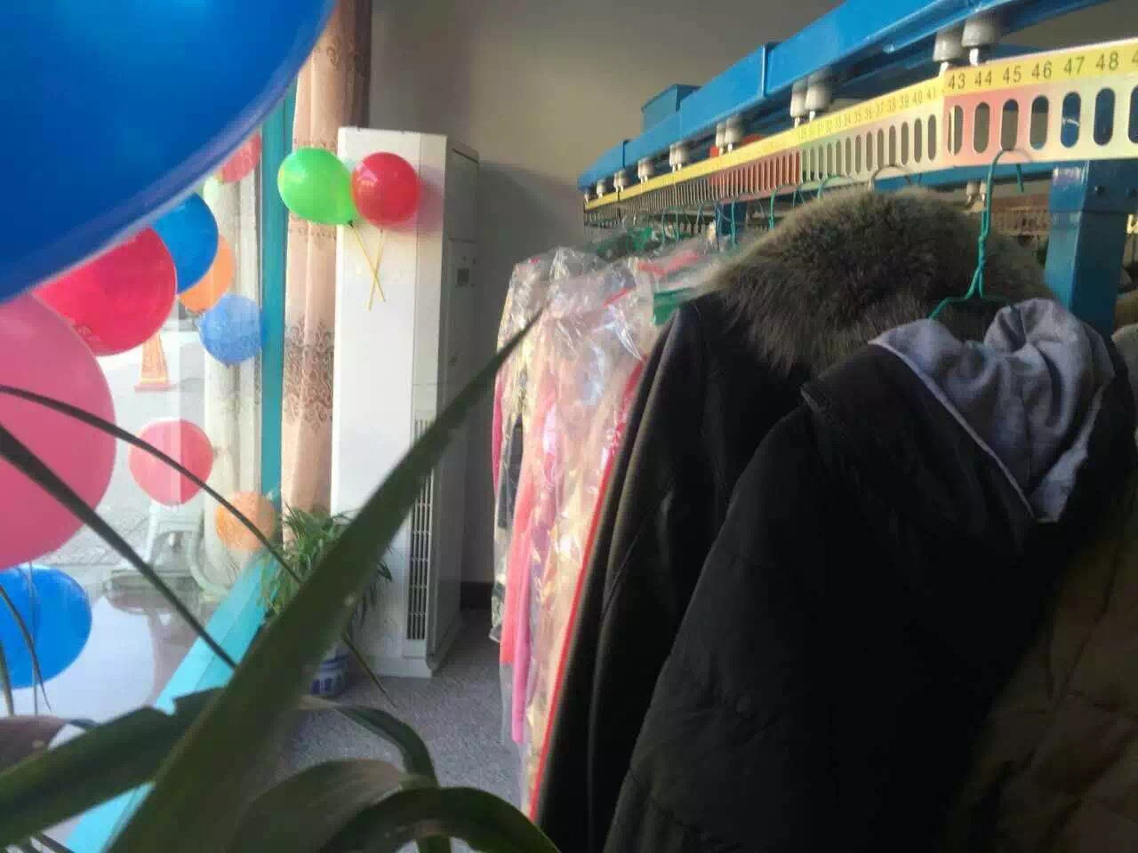 威特斯干洗店怎么樣?實在的品牌實在的價格