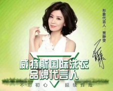 開個威特斯干洗店要多少錢?小本開店好掙錢