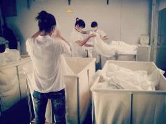 賓館洗滌設備報價:威特斯價位公道