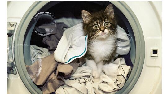 純棉衣物怎么洗?純棉織物的特點