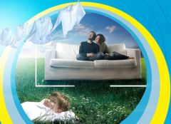 威特斯與約瑟芬哪個毛利高